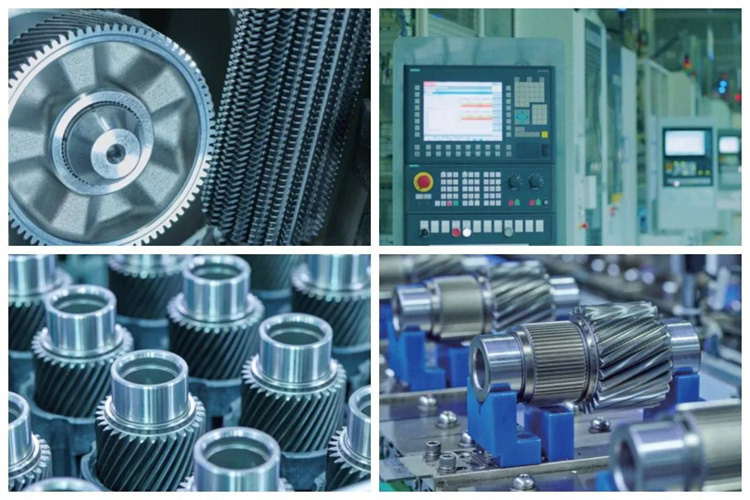 ×ðÁú¿Ê±- ¹Ù·½ÍøÕ¾