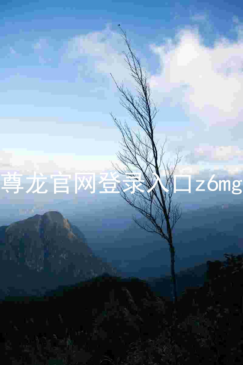 尊龙官网登录入口z6mg